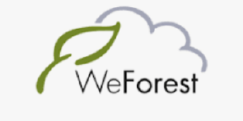 West Forest